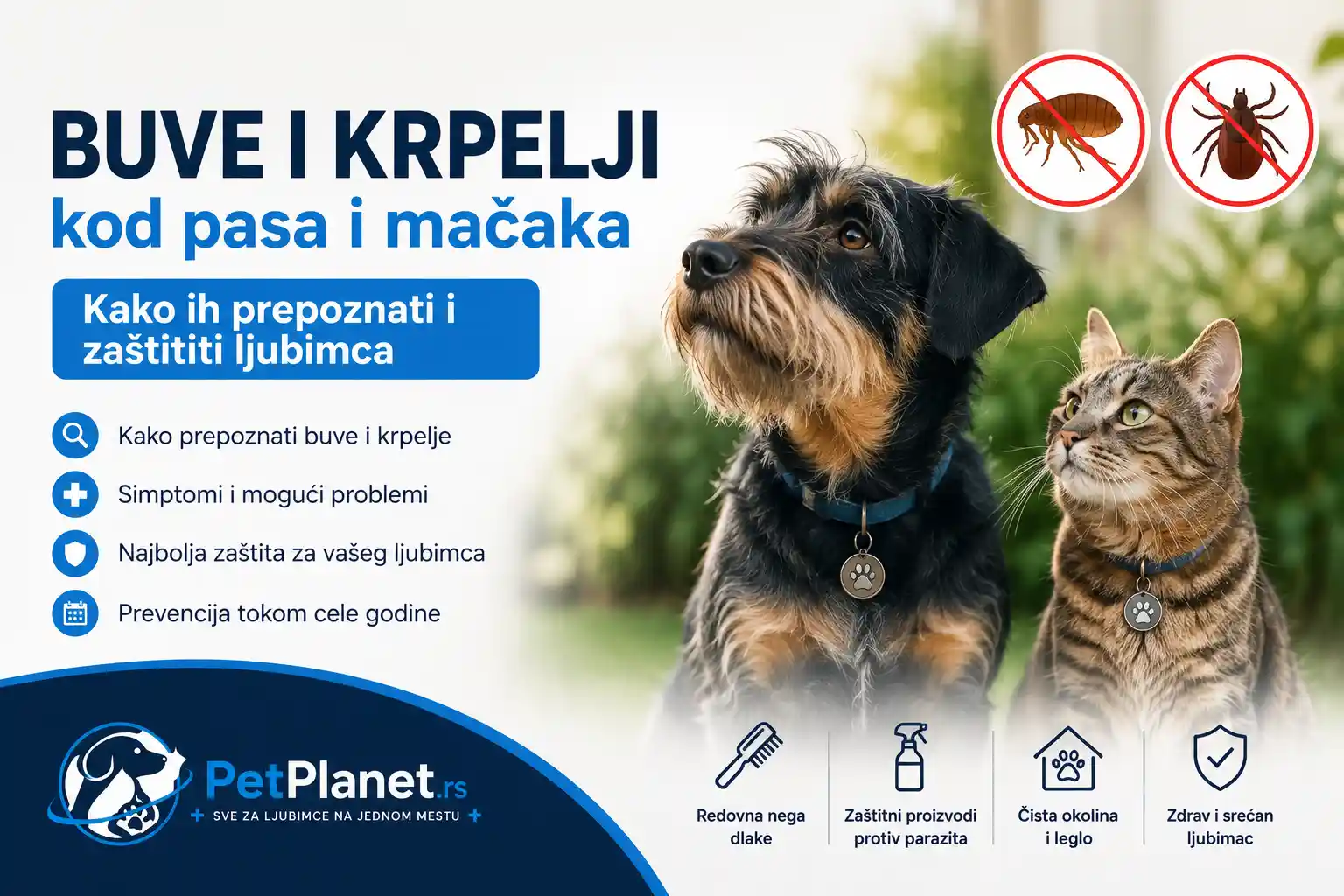 Buve i krpelji kod pasa i mačaka